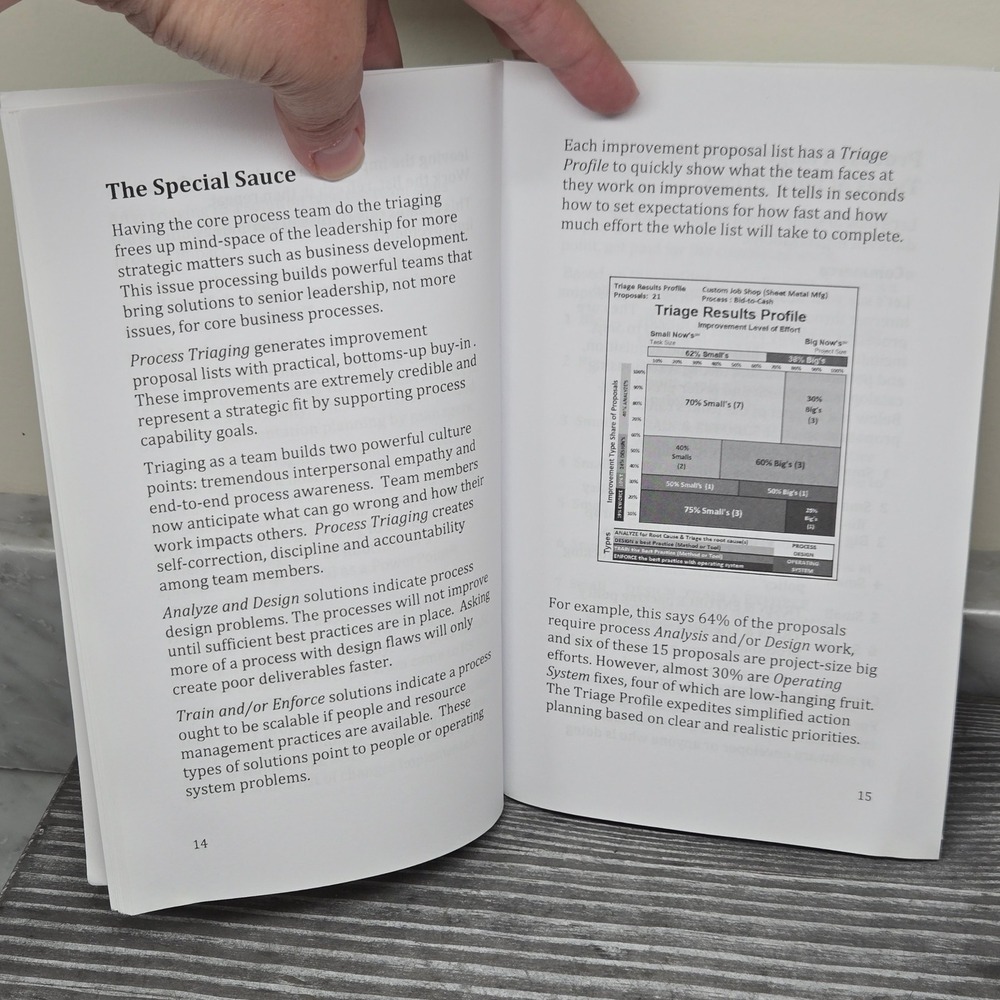Process Triage: How to Build Repeatable, Sustainable, Scalable Business, Book - Picture 4 of 6